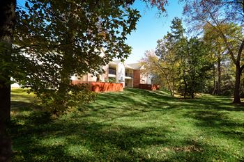 Fenced Back Yard (+additional cost)